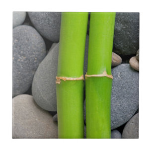 Bamboe en pebble tegeltje