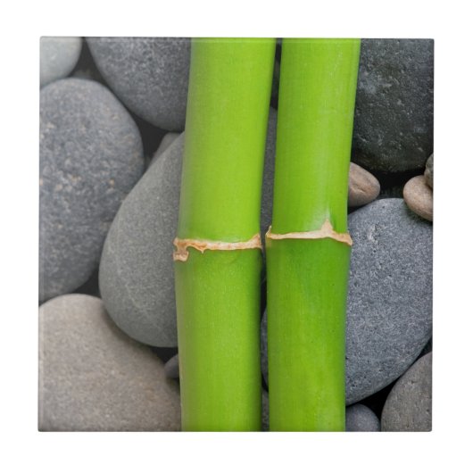 Bamboe en pebble tegeltje (Voorkant)