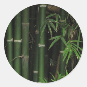 Bamboe ... Fao Rai, Nong Khai, Isaan, Thailand Ronde Sticker