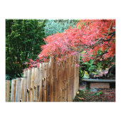 Bamboe Fence en Japans springplank Foto Afdruk (Voorkant)