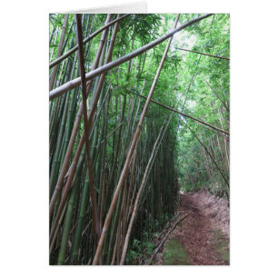 Bamboe Forest