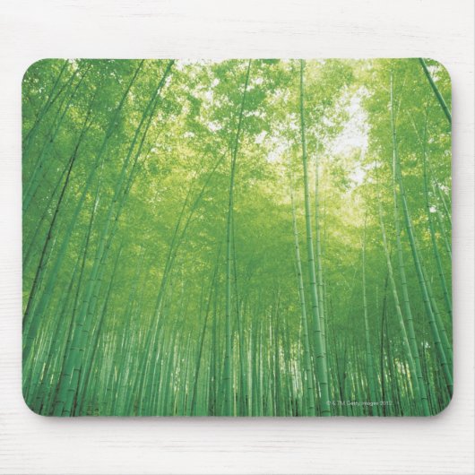 Bamboe Forest 2 Muismat (Voorkant)