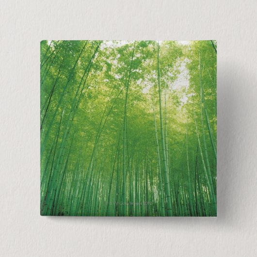 Bamboe Forest 2 Vierkante Button 5,1 Cm (Voorkant)
