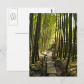 Bamboe Forest Briefkaart (Voorkant / Achterkant)