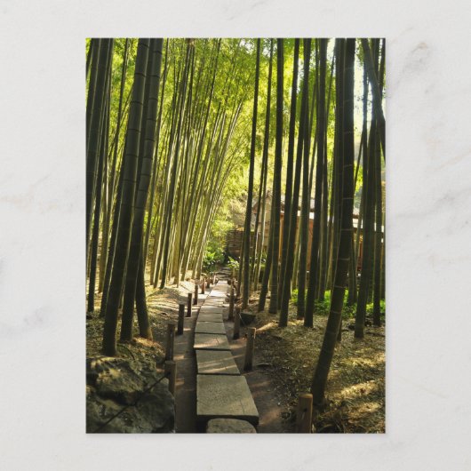 Bamboe Forest Briefkaart (Voorkant)