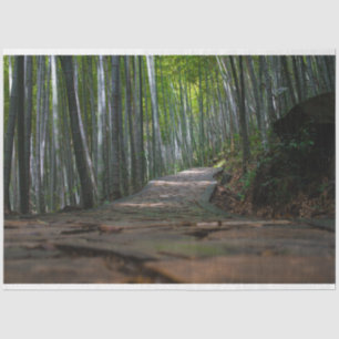 Bamboe Forest Decoupage 12 Background Tissuepapier