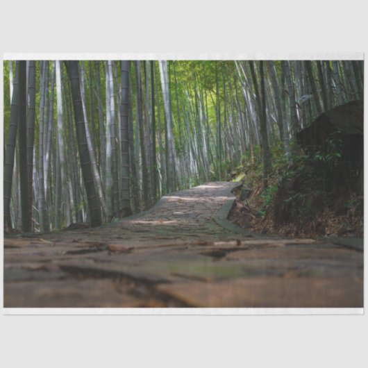 Bamboe Forest Decoupage 12 Background Tissuepapier (Voorkant)