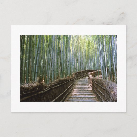 Bamboe Forest in Sagano, Kyoto Briefkaart (Voorkant)