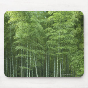 Bamboe Forest Muismat