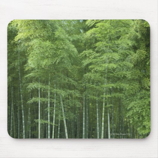 Bamboe Forest Muismat (Voorkant)