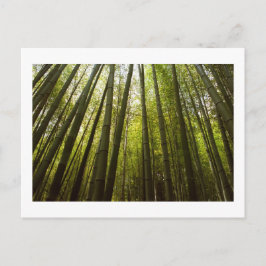 Bamboe Forest of Sagano, Briefkaart van Kyoto