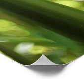 Bamboe Forest (Poster) Poster (Hoek)