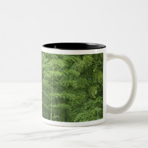 Bamboe Forest Tweekleurige Koffiemok