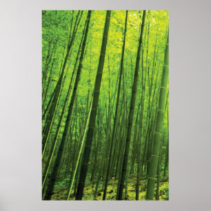 Bamboe Forest - Zen Art (artikel 1 van 3) Poster