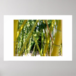 Bamboe Garden Poster