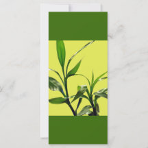 bamboe groene bladeren houden kalm