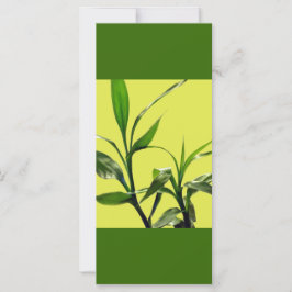 bamboe groene bladeren houden kalm