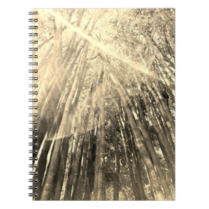 Bamboe in het Sepia Notitieboek