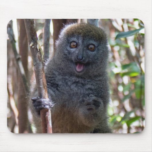 Bamboe lemur muismat (Voorkant)