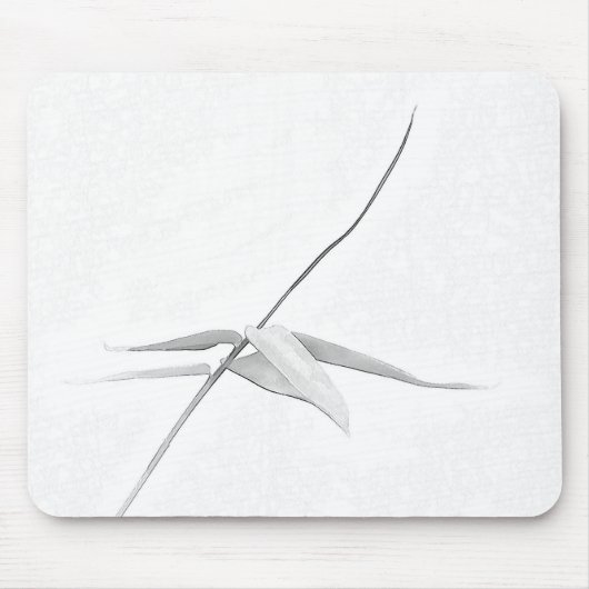Bamboe - Mousepad Muismat (Voorkant)