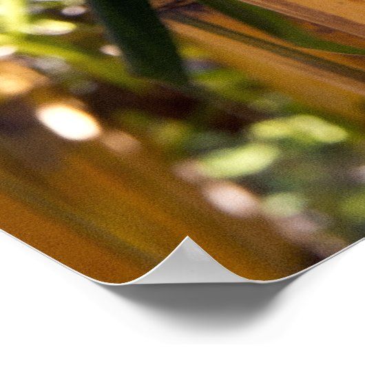 Bamboe Oerwoud Poster (Hoek)