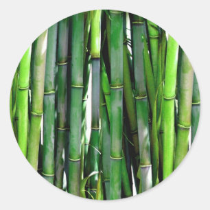 BAMBOE RONDE STICKER