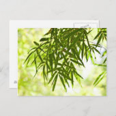 Bamboebladeren Briefkaart (Voorkant / Achterkant)