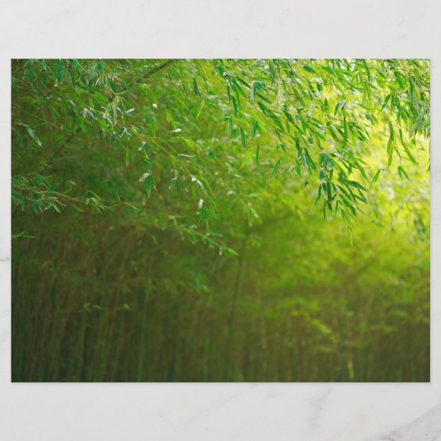 Bamboebos (Voorkant)