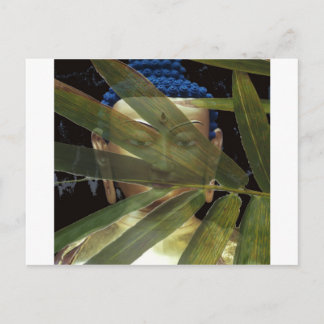 Bamboo Buddha Briefkaart