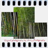 Bamboo Grove Natuurlijke Fotografie Tissuepapier