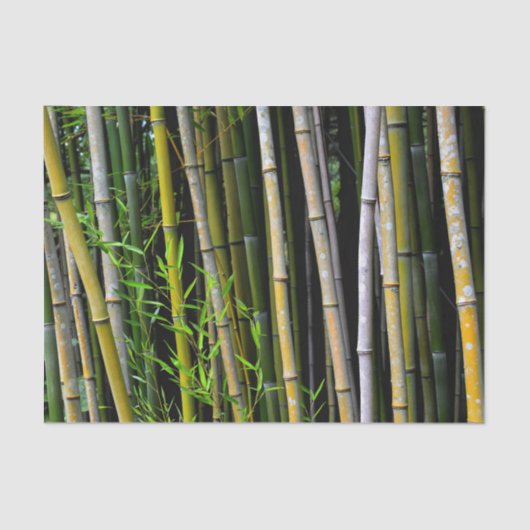 Bamboo Grove Natuurlijke Fotografie Tissuepapier (Voorkant)