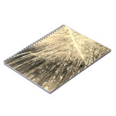 Bambou dans le Carnet de Sepia (Côté gauche)