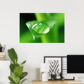 Bambus Wassertropfen Poster (Thuiskantoor)