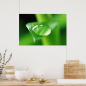 Bambus Wassertropfen Poster (Keuken)
