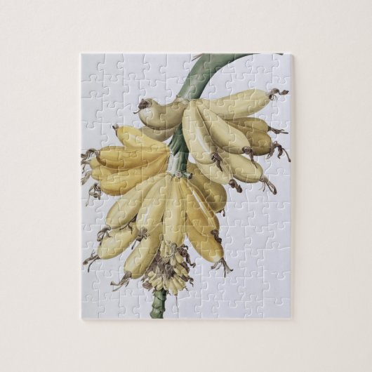 Banaan, 1816 legpuzzel (Verticaal)