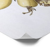 Banaan, 1816 poster (Hoek)