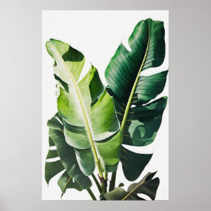 Banaan Leaves Art Print Poster