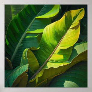 Banaan Leaves Art Print Poster