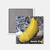 Banaan Slug Magnet Magneet (Voorkant / Achterkant)