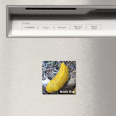 Banaan Slug Magnet Magneet (Insitu (Vaatwasser))