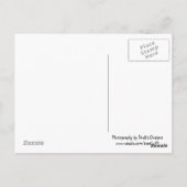 Banaanboom Briefkaart (Achterkant)