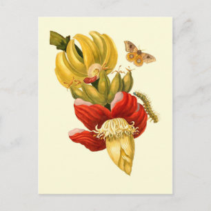Banaanboombloemen botanische afdruk briefkaart
