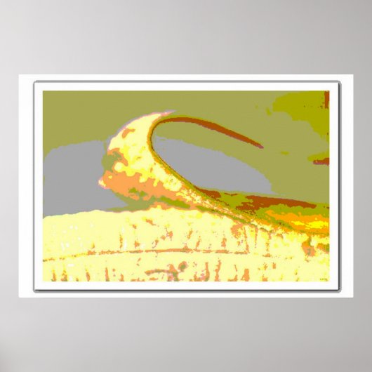 Banana Art Poster (Voorkant)