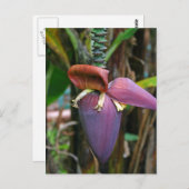 Banana Blossom Briefkaart (Voorkant / Achterkant)