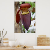 Banana Flower Poster (Keuken)