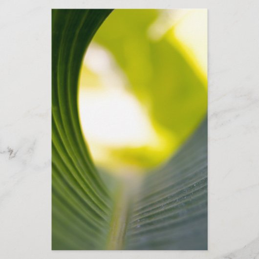 Banana Leaf Briefpapier (Voorkant)