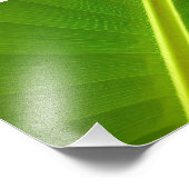 Banana Leaf Macro Foto Afdruk (Hoek)