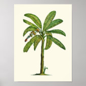 Banana Pen en Ink Poster (Voorkant)