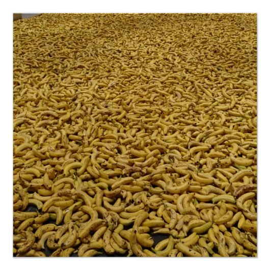 Banana Republic 20" x 20", Poster Paper, Semi-Glos (Devant)