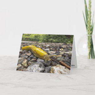 Banana Slug Note Kaart
